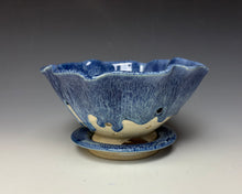 Load image into Gallery viewer, Breakwater Blue Lotus Berry Bowl