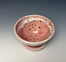 Load image into Gallery viewer, Alpine Rose Berry Bowl