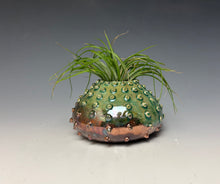 Load image into Gallery viewer, Green Copper Raku Mini Urchin AirPlant Vase #11