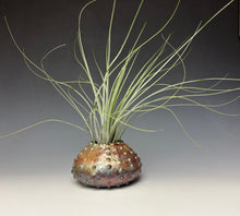 Load image into Gallery viewer, Rainbow Copper Raku Urchin AirPlant Vase #4