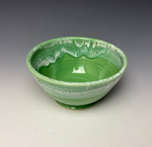 Load image into Gallery viewer, Bowl- Bermuda Green