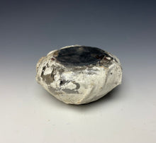 Load image into Gallery viewer, White Crackle Raku Textured Air Plant Vase #7