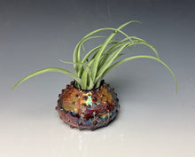 Load image into Gallery viewer, Rainbow Copper Raku Mini Urchin AirPlant Vase #10