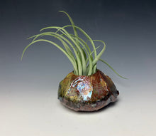 Load image into Gallery viewer, Copper Raku AirPlant Vase #12