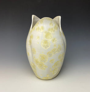 Tulip Vase- Ivory #13
