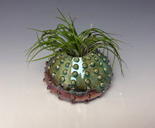 Load image into Gallery viewer, Green Copper Raku Mini Urchin AirPlant Vase #11