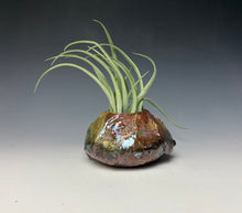 Load image into Gallery viewer, Copper Raku AirPlant Vase #12