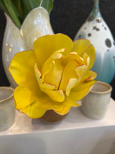 Load image into Gallery viewer, Akebono