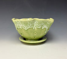 Load image into Gallery viewer, Key Lime Lotus Berry Bowl 2