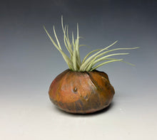 Load image into Gallery viewer, Satin Copper Raku Mini AirPlant Vase #9
