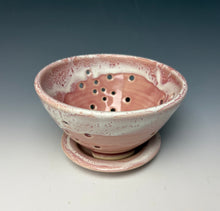 Load image into Gallery viewer, Alpine Rose Berry Bowl