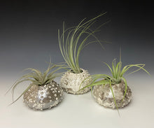 Load image into Gallery viewer, White Crackle Urchin Raku Air Plant Vase
