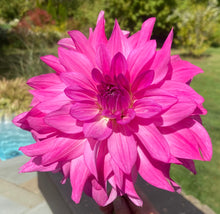 Load image into Gallery viewer, I'm A Hottie