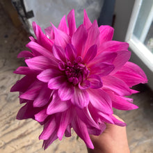 Load image into Gallery viewer, I'm A Hottie