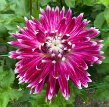 Load image into Gallery viewer, Vancouver