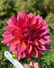 Load image into Gallery viewer, Fire Magic