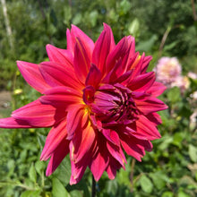 Load image into Gallery viewer, Fire Magic