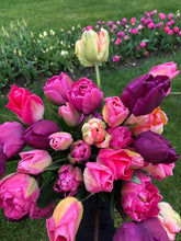 Load image into Gallery viewer, Specialty Tulip Bouquet