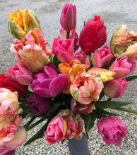 Load image into Gallery viewer, Specialty Tulip Bouquet