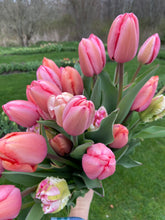 Load image into Gallery viewer, Specialty Tulip Bouquet