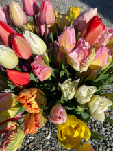 Load image into Gallery viewer, Specialty Tulip Bouquet