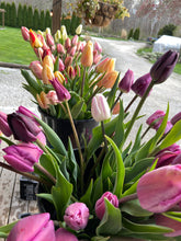 Load image into Gallery viewer, Specialty Tulip Bouquet