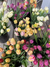 Load image into Gallery viewer, Specialty Tulip Bouquet