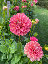 Load image into Gallery viewer, Milena Fleur