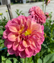 Load image into Gallery viewer, Milena Fleur