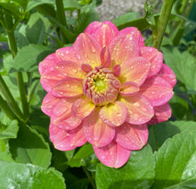 Load image into Gallery viewer, Milena Fleur