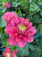 Load image into Gallery viewer, Milena Fleur