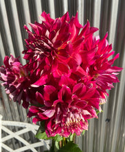 Load image into Gallery viewer, My Hero