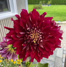 Load image into Gallery viewer, My Hero