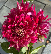 Load image into Gallery viewer, My Hero