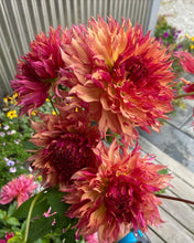 Load image into Gallery viewer, Myrtle's Folly