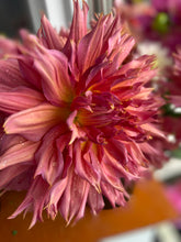 Load image into Gallery viewer, Omega