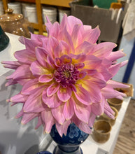 Load image into Gallery viewer, Strawberry Ice