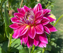 Load image into Gallery viewer, Temple of Beauty