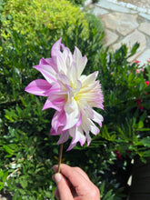 Load image into Gallery viewer, Ferncliff Illusion