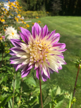 Load image into Gallery viewer, Ferncliff Illusion