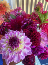 Load image into Gallery viewer, A Bag of Growers Choice SECONDS Mixed Dahlia Tubers - 10 Tuber Bundle