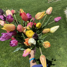 Load image into Gallery viewer, Specialty Tulip Bouquet
