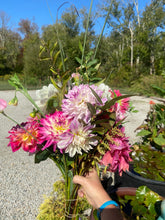 Load image into Gallery viewer, A Bag of Growers Choice SECONDS Mixed Dahlia Tubers - 10 Tuber Bundle