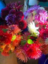 Load image into Gallery viewer, A Bag of Growers Choice SECONDS Mixed Dahlia Tubers - 10 Tuber Bundle
