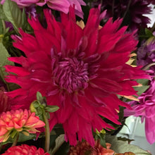 Load image into Gallery viewer, Showcase Magnifico