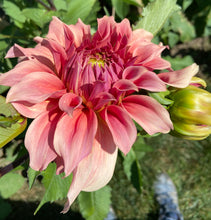 Load image into Gallery viewer, Sierra Glow