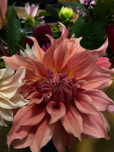 Load image into Gallery viewer, Sierra Glow