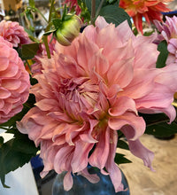 Load image into Gallery viewer, Sierra Glow