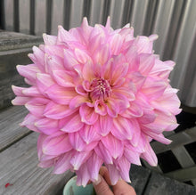 Load image into Gallery viewer, Strawberry Ice