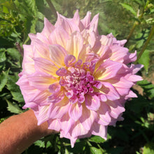 Load image into Gallery viewer, Strawberry Ice